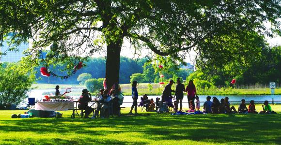 Family picnic celebration in the park