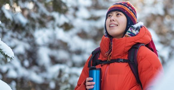 voyageur dans un paysage hivernal